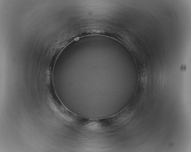 X0000113340551200909291032