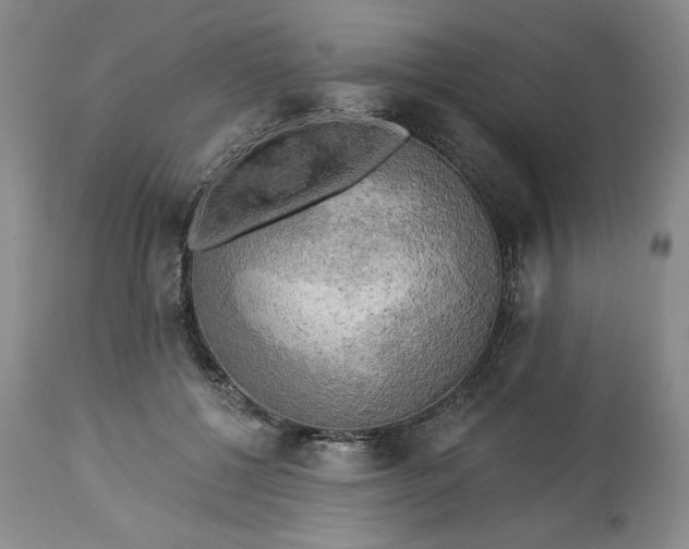 X0000113340552200909291032