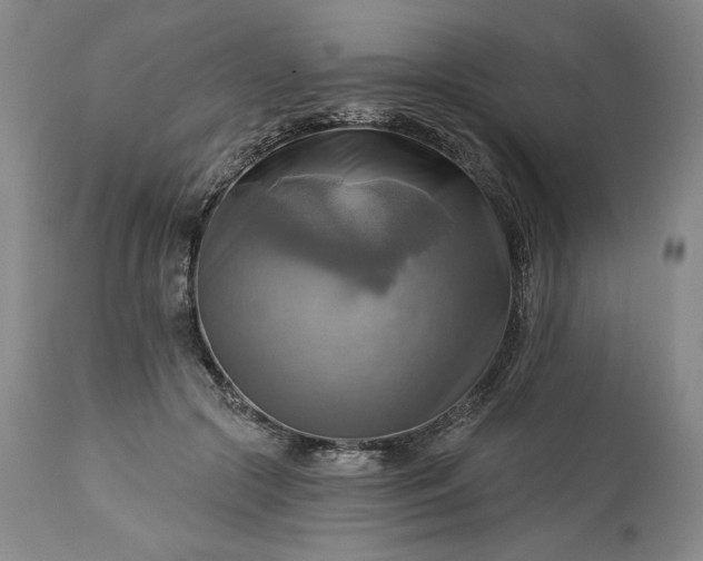 X0000113340553200909291032