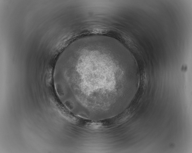 X0000113340554200909291032