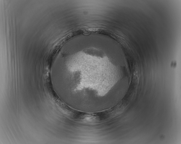 X0000113340555200909291032