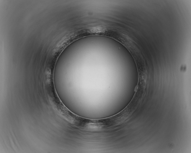 X0000113340556200909291032