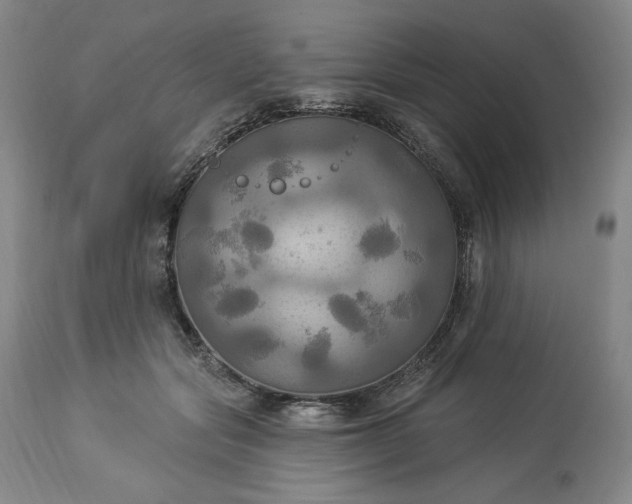 X0000113340557200909291032