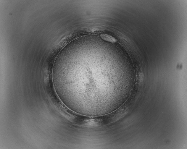 X0000113340558200909291032