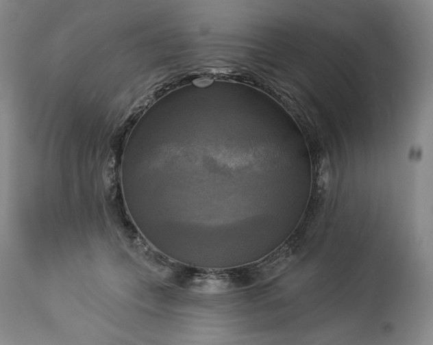 X0000113340559200909291032