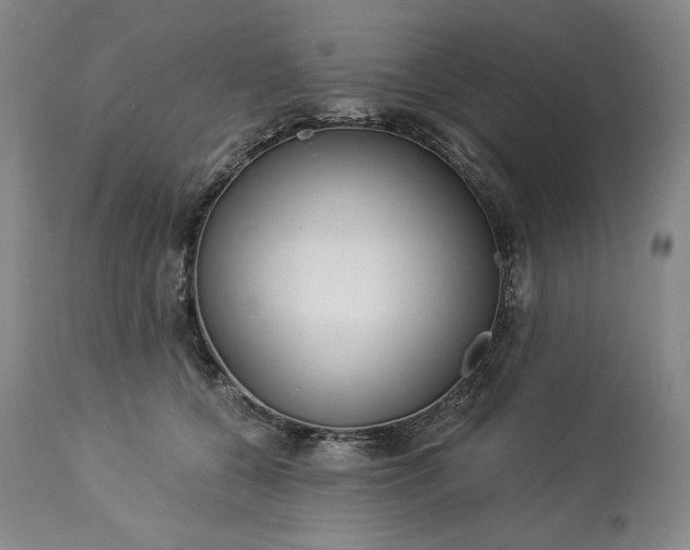 X0000113340560200909291032