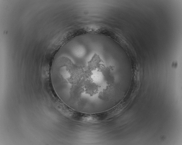 X0000113340561200909291032