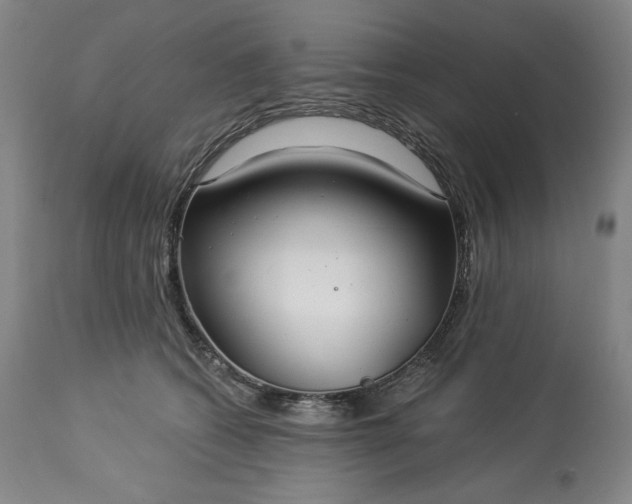 X0000113340562200909291032