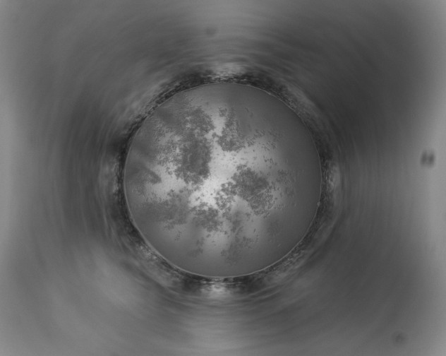 X0000113340565200909291033