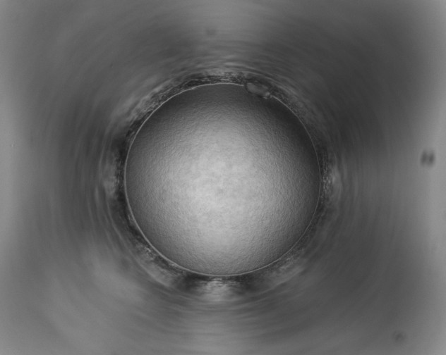 X0000113340566200909291033