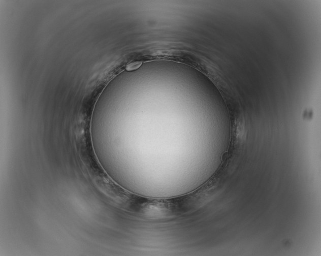 X0000113340567200909291033