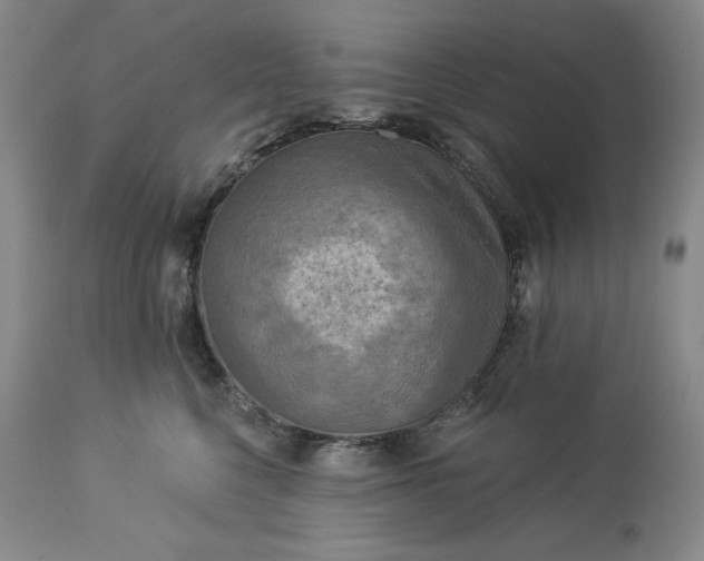 X0000113340568200909291033