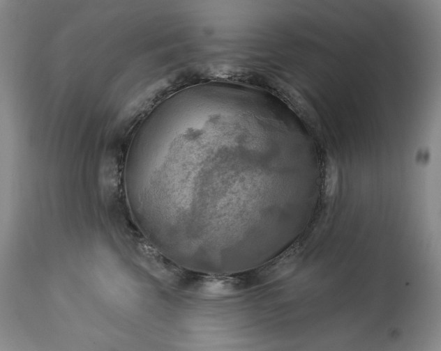 X0000113340569200909291033