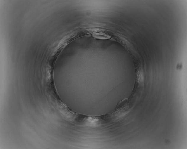 X0000113340570200909291033