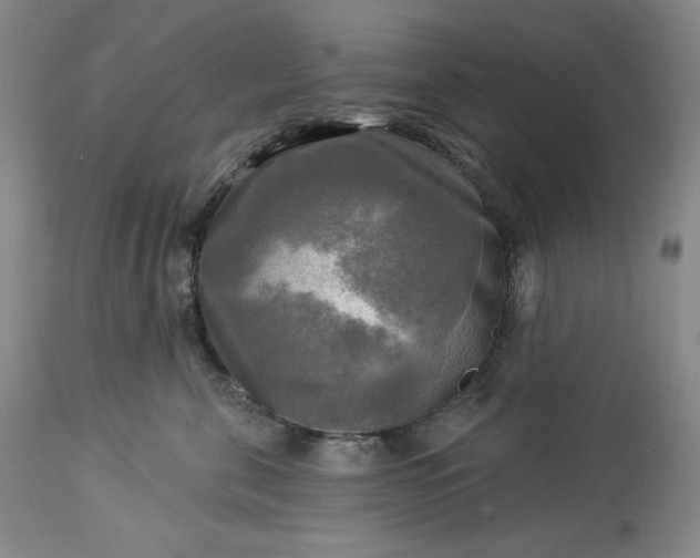 X0000113340571200909291033