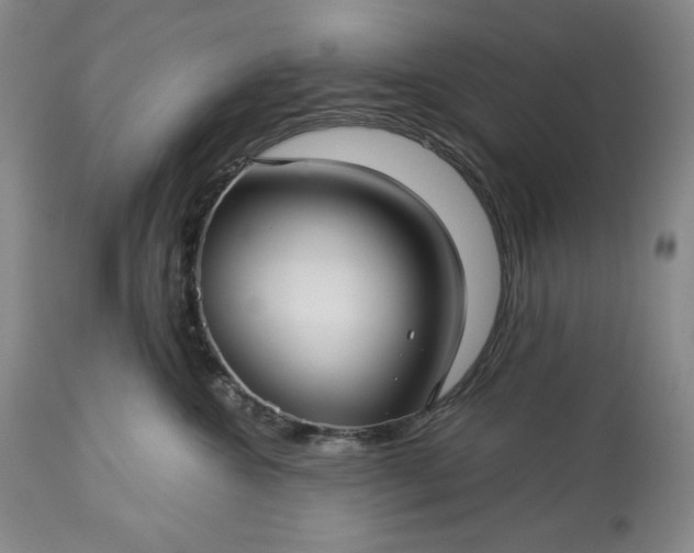 X0000113340572200909291033