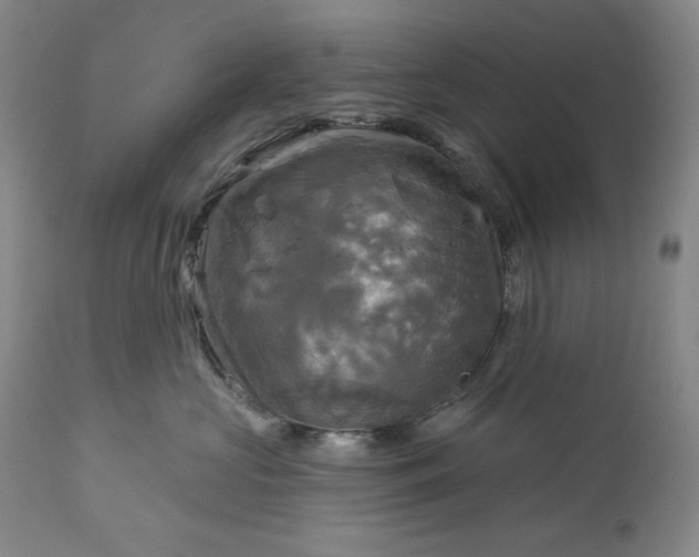 X0000113340573200909291033