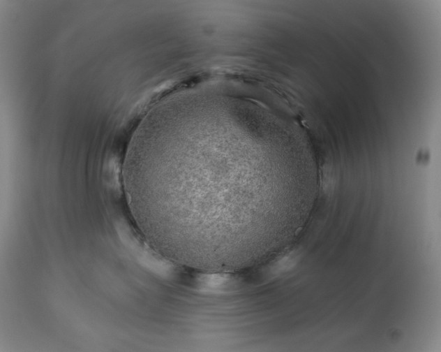 X0000113340575200909291033