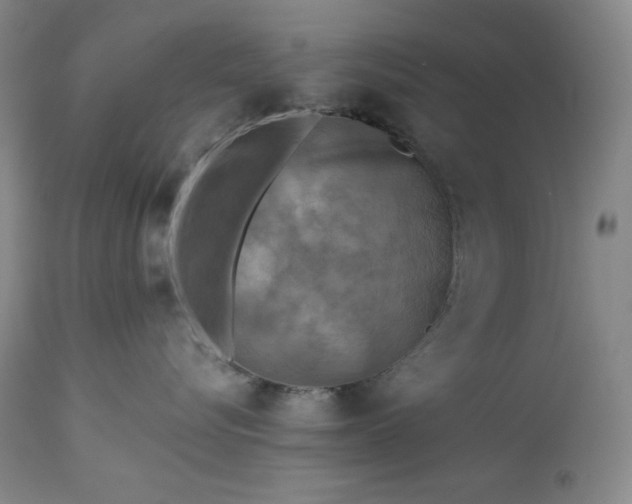 X0000113340576200909291033