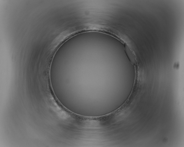 X0000113340577200909291032