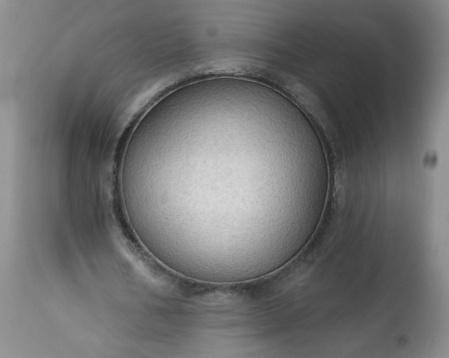 X0000113340578200909291032