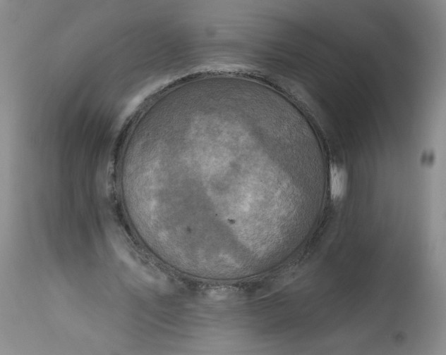 X0000113340579200909291032