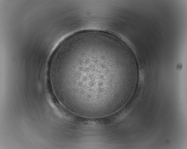 X0000113340580200909291032