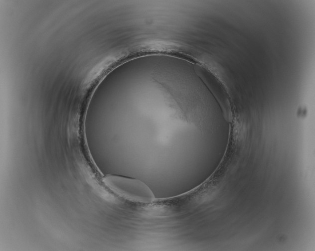 X0000113340581200909291032