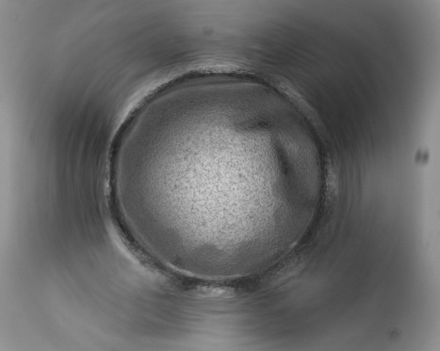 X0000113340582200909291032