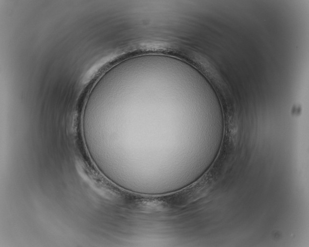 X0000113340583200909291032