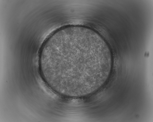 X0000113340584200909291032