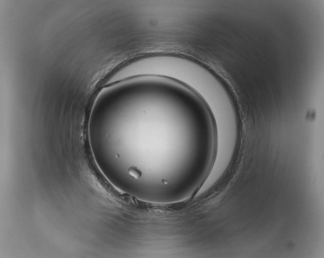 X0000113340585200909291032