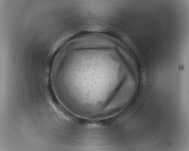 X0000113340586200909291032