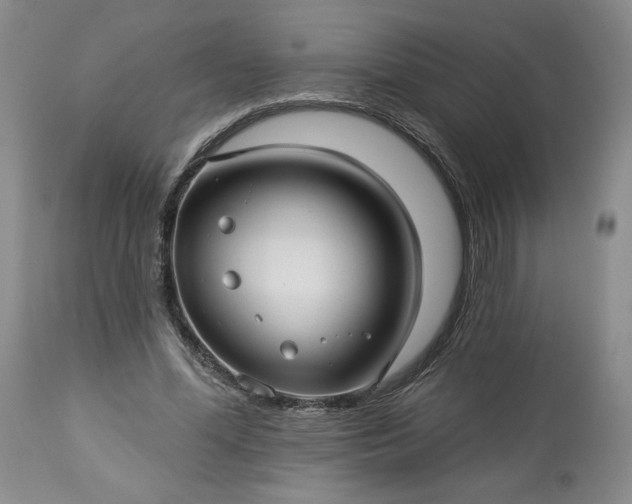 X0000113340588200909291032