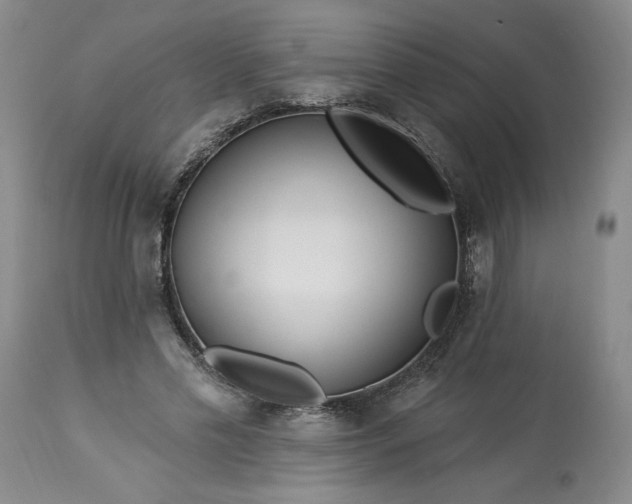 X0000113340589200909291031