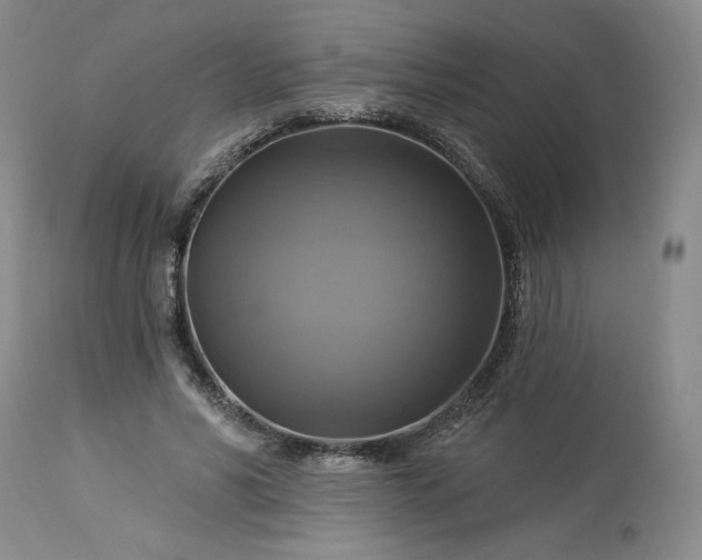 X0000113340590200909291031