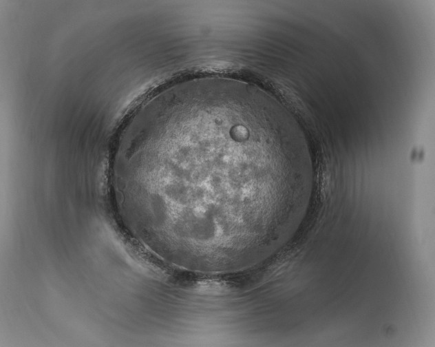 X0000113340591200909291031