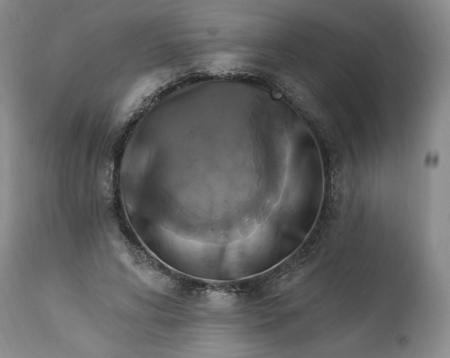 X0000113340592200909291031