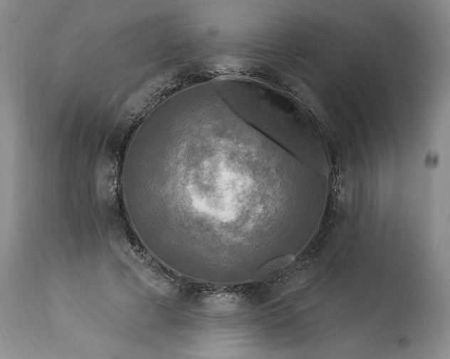 X0000113340593200909291031