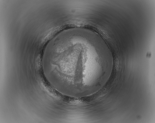 X0000113340594200909291031