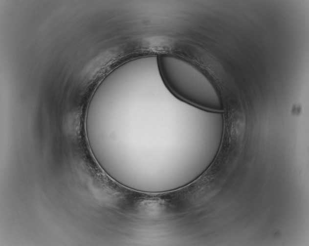 X0000113340595200909291031