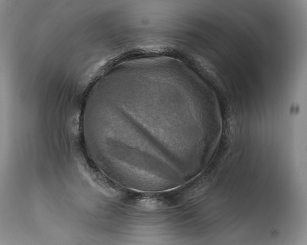 X0000113340596200909291031