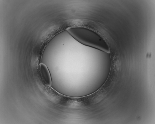 X0000113340597200909291031