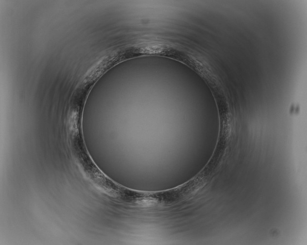 X0000113340598200909291031