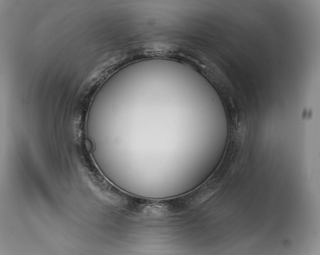 X0000113340599200909291031