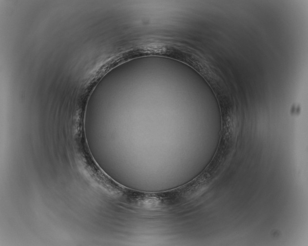 X0000113340600200909291031