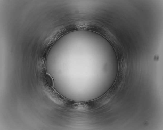 X0000113340601200909291031