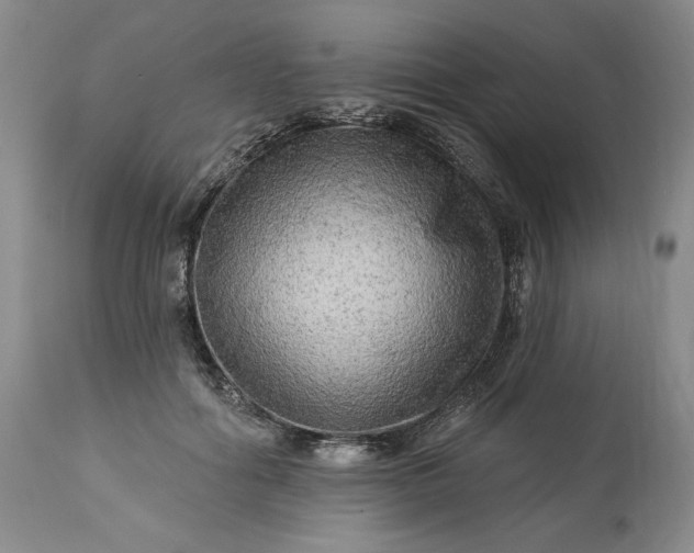 X0000113340602200909291031