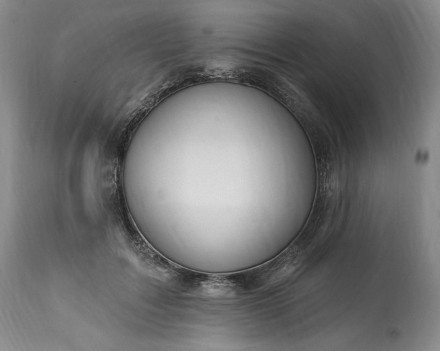 X0000113340603200909291031