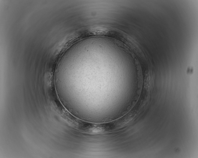 X0000113340604200909291031